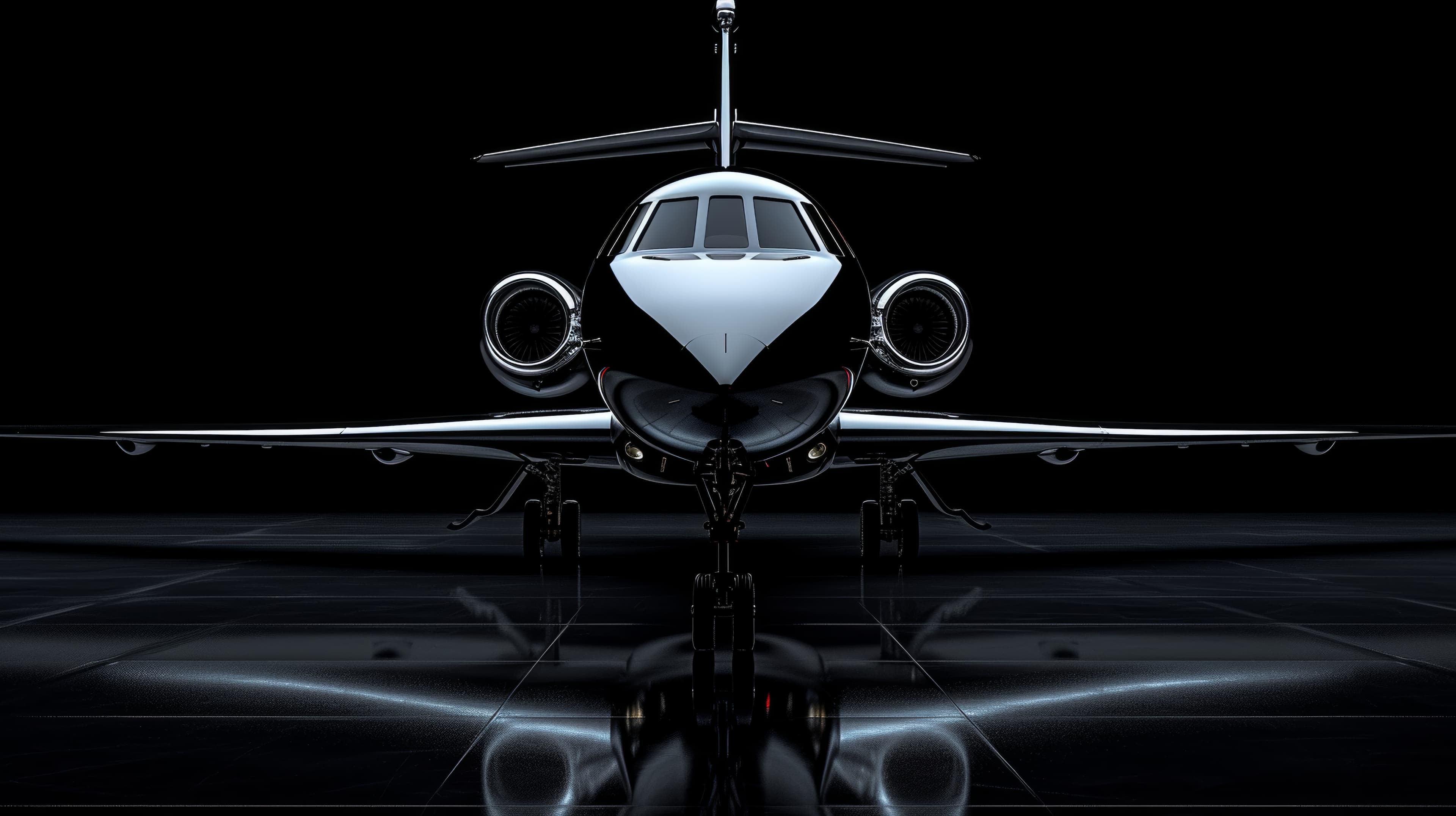 Private Jet Experience